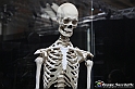 VBS_3122 - Scheletro - Mostra Body Worlds